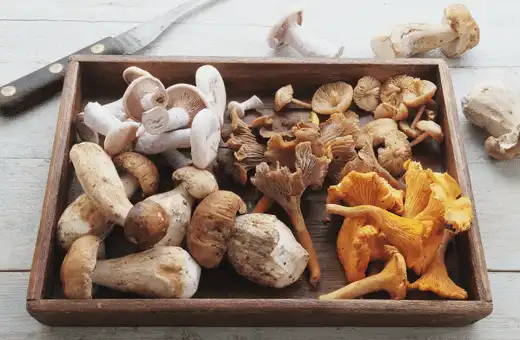 Mushrooms have an umami flavor that adds depth and complexity to your adobo.