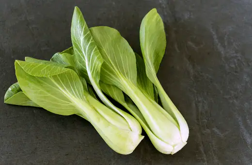 Bok Choy is an Asian green that adds a crunchy texture and bright flavor to your adobo dish when cooked with other ingredients.