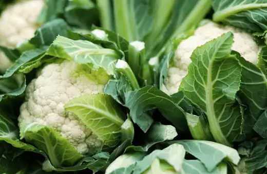 cauliflower can be boiled or roasted for the perfect accompaniment to teriyaki salmon dishes.