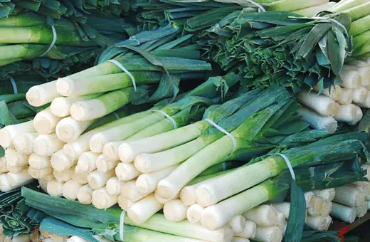 Leeks have long been used as a flavoring agent in soups and stews due to their mild onion-like taste; when served alongside white fish like sea bass, they add complexity without overwhelming other flavors!