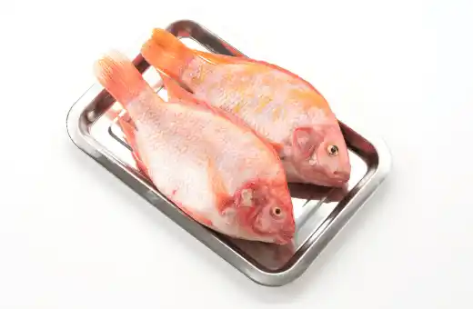 redfish on a platter